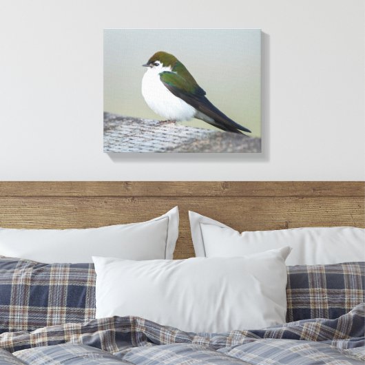Violet Green Swallow Canvas Afdruk (Insitu (Slaapkamer))