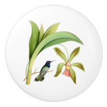 Violet Headed Hummingbird Illustratie