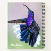 Violet Hummingbird met prachtige veren Notitieboek (Achterkant)