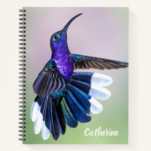 Violet Hummingbird met prachtige veren Notitieboek (Voorkant)