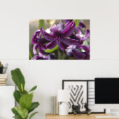 Violet Hyacinths Poster (Thuiskantoor)