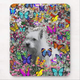 Violet in Butterflies - White Westie Dog Muismat