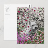 Violet in Flowers - White Westie Dog Briefkaart (Voorkant / Achterkant)