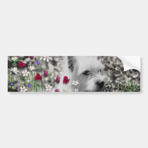 Violet in Flowers - White Westie Dog Bumpersticker
