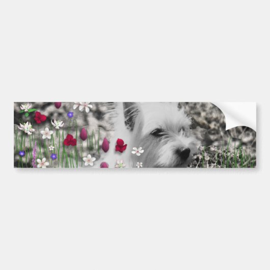 Violet in Flowers - White Westie Dog Bumpersticker (Voorkant)