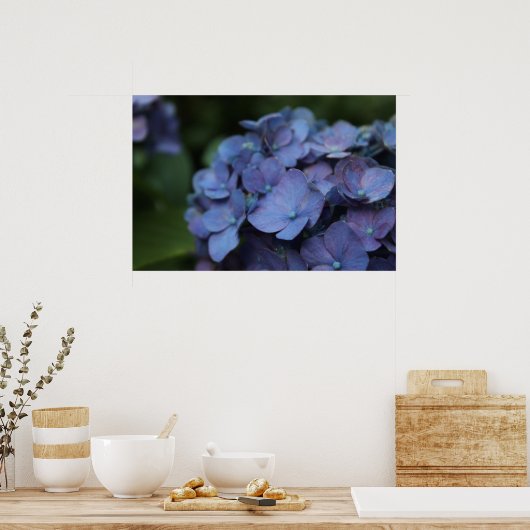 Violet in Poster Twilight (Keuken)