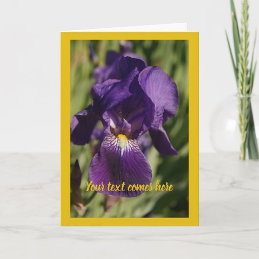violet iris - kaart (Voorkant)