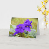 Violet, kaart (Gele Bloem)