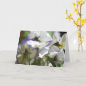 Violet Kaart (Gele Bloem)