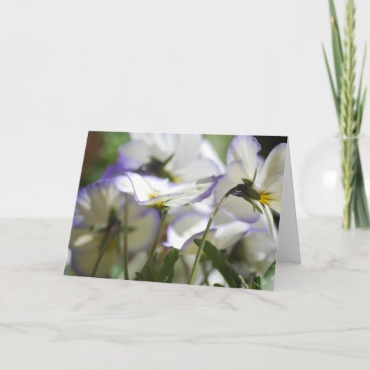 Violet Kaart (Voorkant)