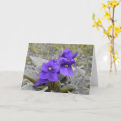 Violet, kaart (Gele Bloem)