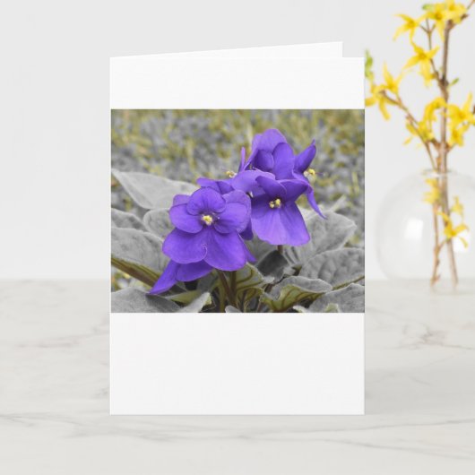 Violet, kaart (Gele Bloem)