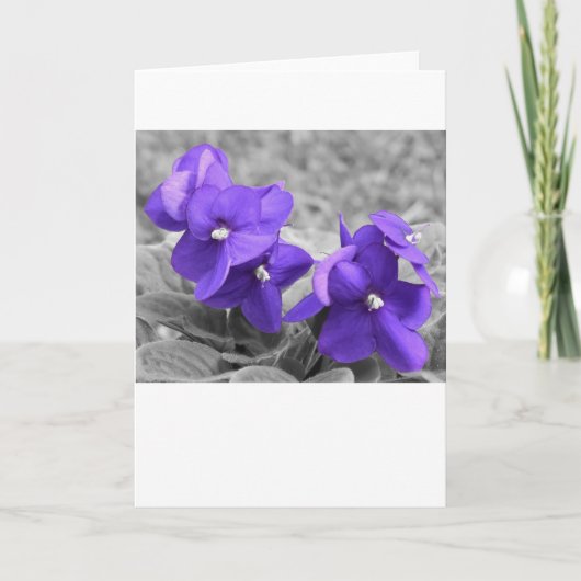 Violet, kaart (Voorkant)