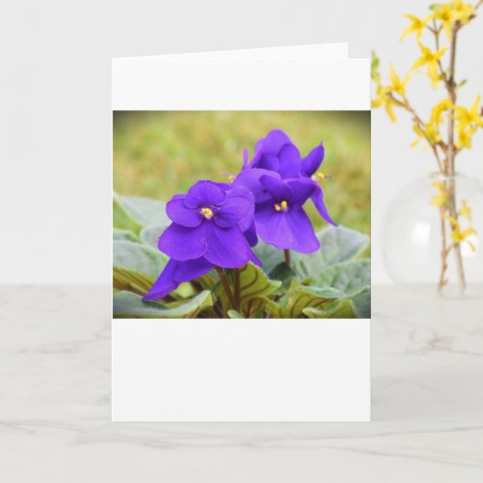 Violet, kaart (Gele Bloem)