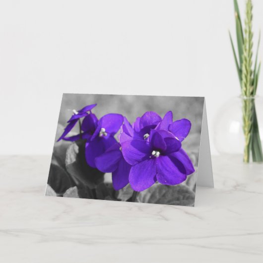 Violet, kaart (Voorkant)