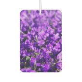 Violet klokjes bloemen luchtverfrisser (Voorkant)