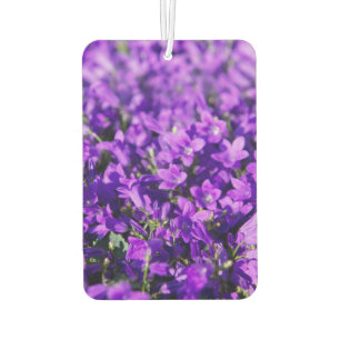 Violet klokjes bloemen luchtverfrisser