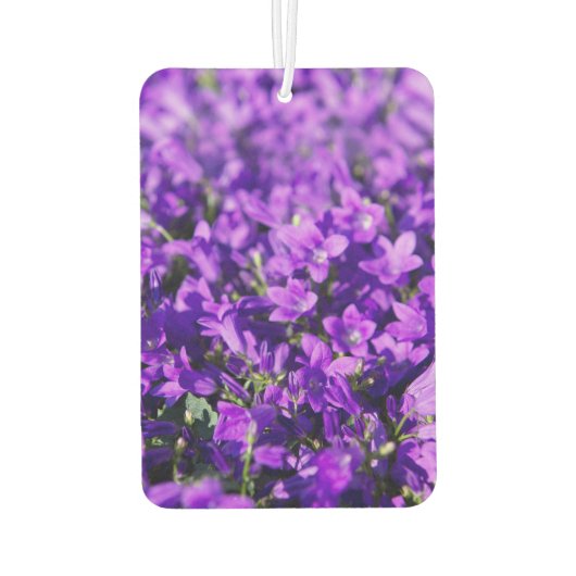 Violet klokjes bloemen luchtverfrisser (Achterkant)