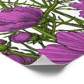 Violet kosmos bloemen poster (Hoek)