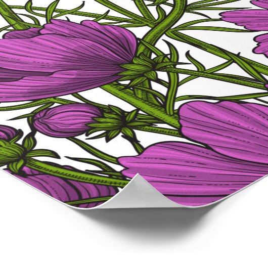 Violet kosmos bloemen poster (Hoek)