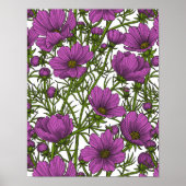 Violet kosmos bloemen poster (Voorkant)