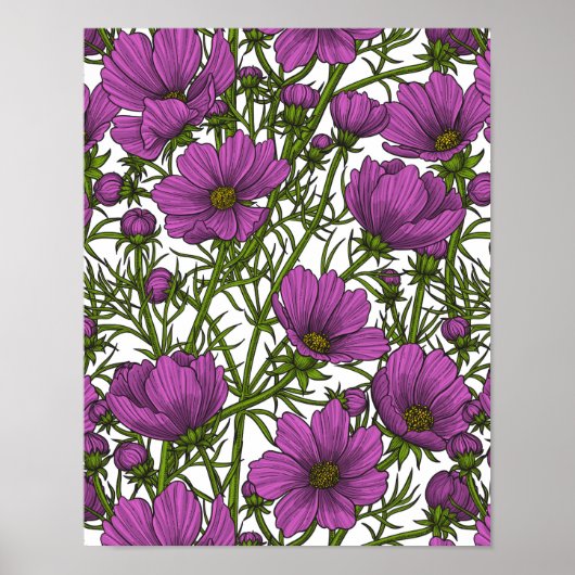 Violet kosmos bloemen poster (Voorkant)