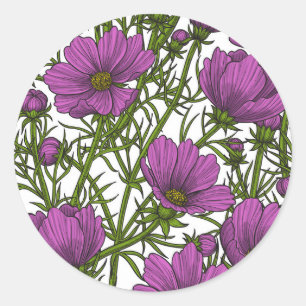 Violet kosmos bloemen ronde sticker