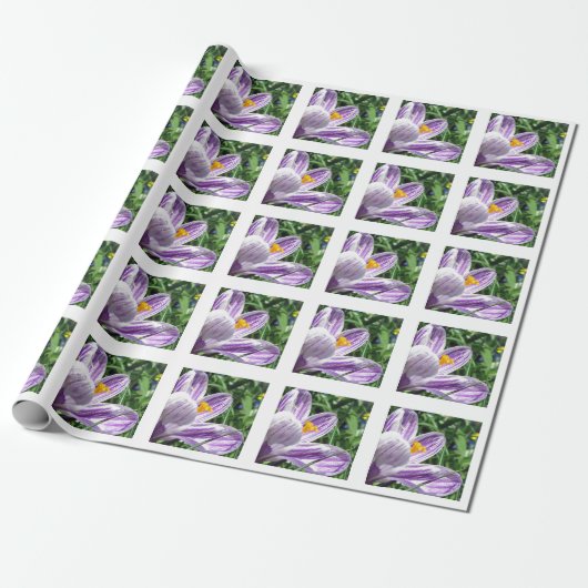 Violet lentescrocus cadeaupapier (Uitgerold)