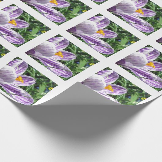 Violet lentescrocus cadeaupapier (Hoek)