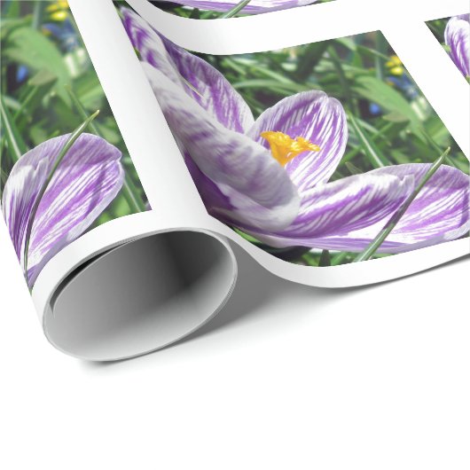 Violet lentescrocus cadeaupapier (Rol Hoek)