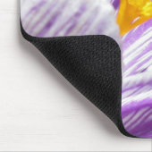 Violet lentescrocus muismat (Hoek)