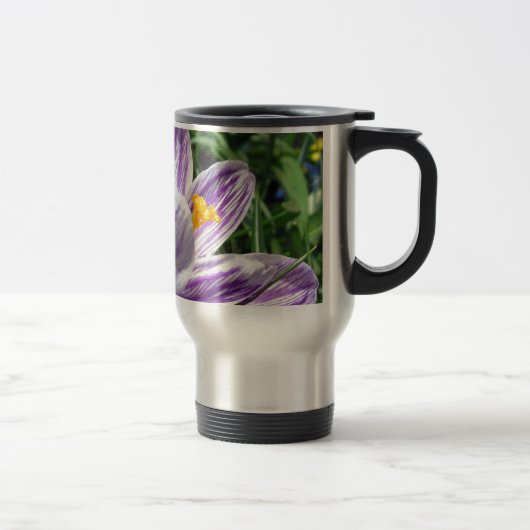 Violet lentescrocus reisbeker (Rechts)