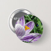 Violet lentescrocus ronde button 5,7 cm (Voorkant /achterkant)