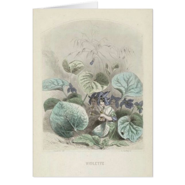 Violet Les Fleurs (Voorkant)