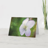 Violet look Scripting Kaart Micah 7:7 (Voorkant)