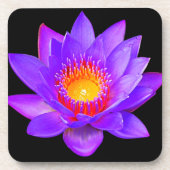Violet Lotus Flower on Black Bier Onderzetter (Voorkant)