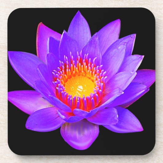 Violet Lotus Flower on Black Bier Onderzetter (Voorkant)