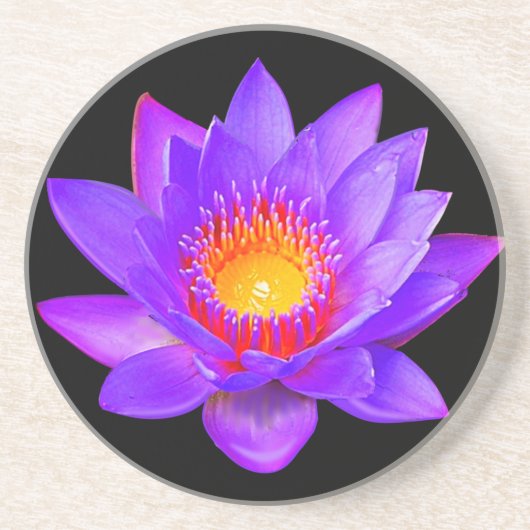 Violet Lotus Flower on Black Zandsteen Onderzetter (Voorkant)