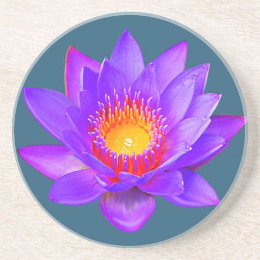 Violet Lotus Flower op Blue Onderzetter (Voorkant)