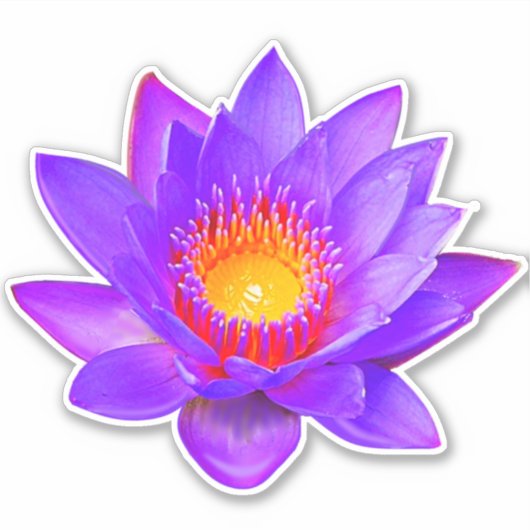 Violet Lotus Flower Sticker (Voorkant)