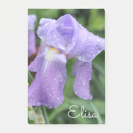 Violet Natte iris. Post-it® Notes (Voorkant)