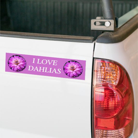 Violet/Paars Dahlia Bumpersticker (Op Truck)