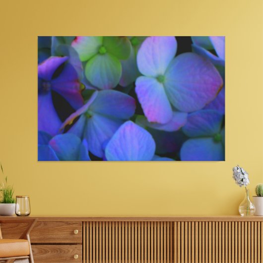 Violet paars roze blauw Hydrangeenbloemen Canvas Afdruk (Insitu (Woonkamer))