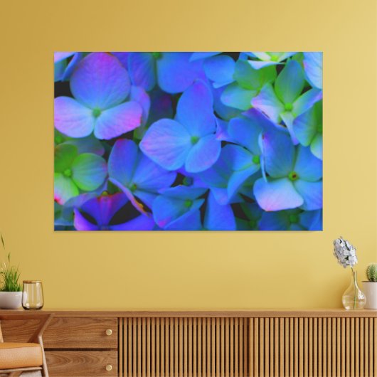 Violet paars roze blauw Hydrangeenbloemen Canvas Afdruk (Insitu (Woonkamer))