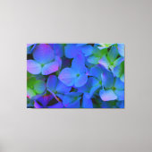 Violet paars roze blauw Hydrangeenbloemen Canvas Afdruk (Voorkant)