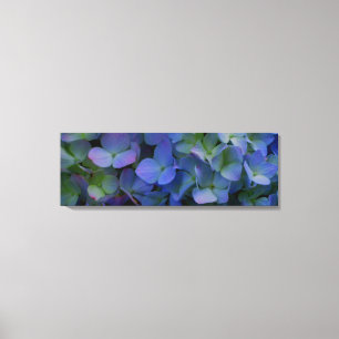 Violet paars roze blauw Hydrangeenbloemen Canvas Afdruk