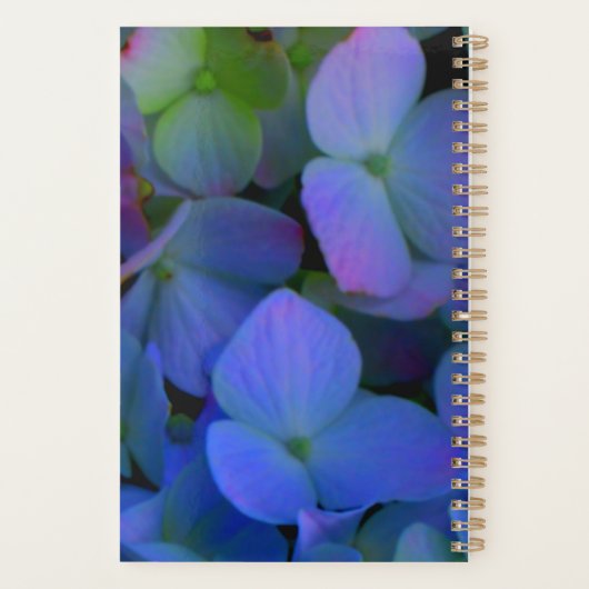 Violet paars roze blauw Hydrangeenbloemen Planner (Achterkant)
