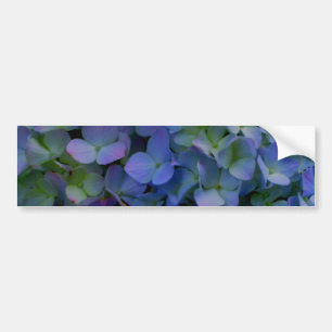 Violet paars roze blauwe hydrangeenbloem bumpersticker