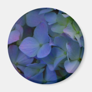 Violet paars roze blauwe hydrangeenbloem magneet
