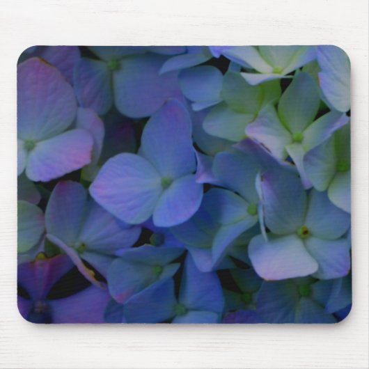 Violet paars roze blauwe hydrangeenbloem muismat (Voorkant)